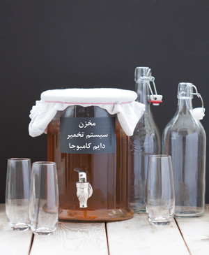 تخمیر دایم کامبوجا چیست