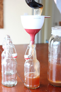 پس از تولید کامبوجا چه کنیم؟ - گیاهان دارویی دکتر دلدار