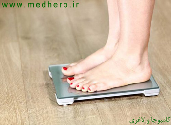 کامبوجا و لاغری و کاهش وزن - سایت گیاهان دارویی دکتر دلدار